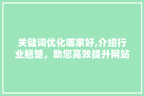 关键词优化哪家好,介绍行业翘楚，助您高效提升网站排名