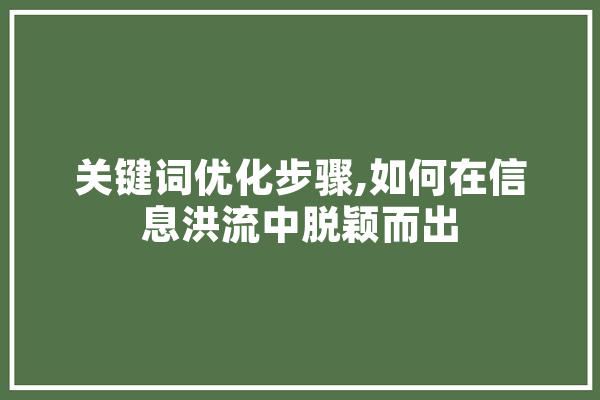 关键词优化步骤,如何在信息洪流中脱颖而出 云服务