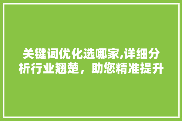 关键词优化选哪家,详细分析行业翘楚，助您精准提升网站排名