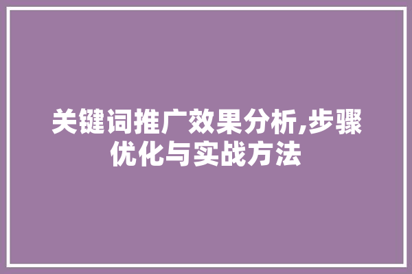 关键词推广效果分析,步骤优化与实战方法