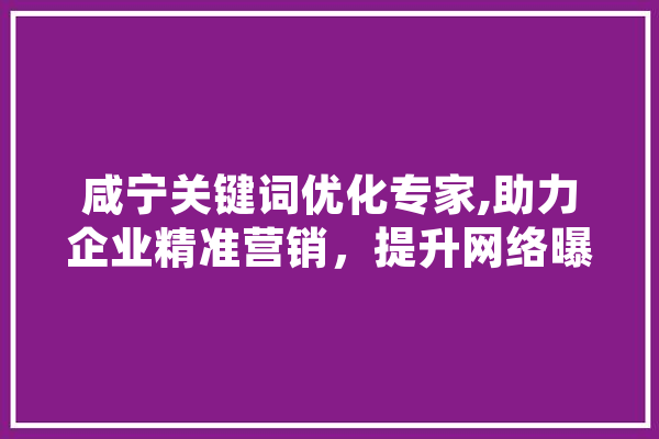 咸宁关键词优化专家,助力企业精准营销，提升网络曝光度