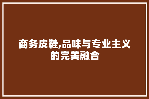 商务皮鞋,品味与专业主义的完美融合