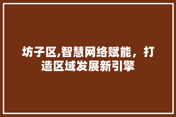 坊子区,智慧网络赋能，打造区域发展新引擎 智能问答