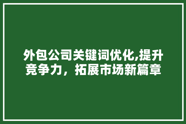 外包公司关键词优化,提升竞争力，拓展市场新篇章
