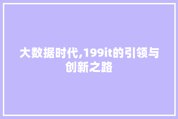 大数据时代,199it的引领与创新之路