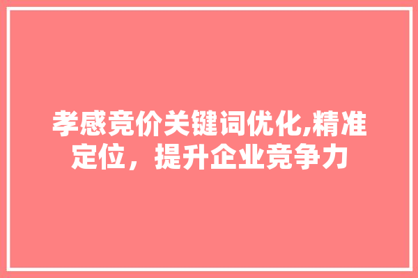 孝感竞价关键词优化,精准定位，提升企业竞争力