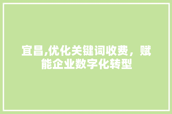 宜昌,优化关键词收费，赋能企业数字化转型