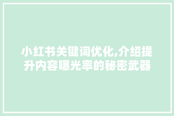 小红书关键词优化,介绍提升内容曝光率的秘密武器