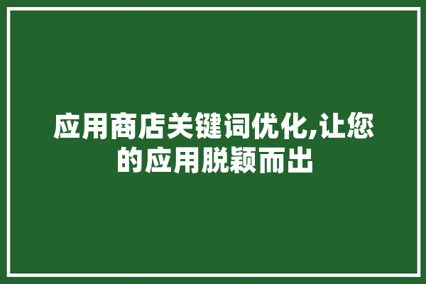 应用商店关键词优化,让您的应用脱颖而出