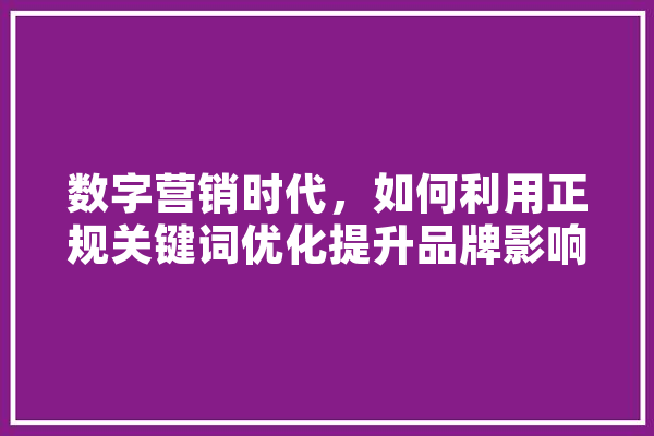 数字营销时代，如何利用正规关键词优化提升品牌影响力
