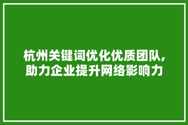 杭州关键词优化优质团队,助力企业提升网络影响力 智能助手