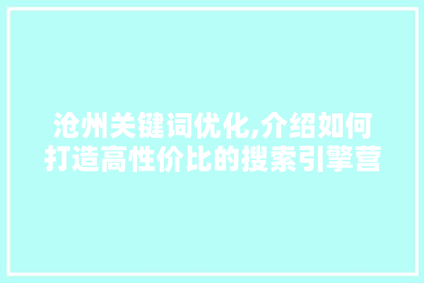 沧州关键词优化,介绍如何打造高性价比的搜索引擎营销步骤