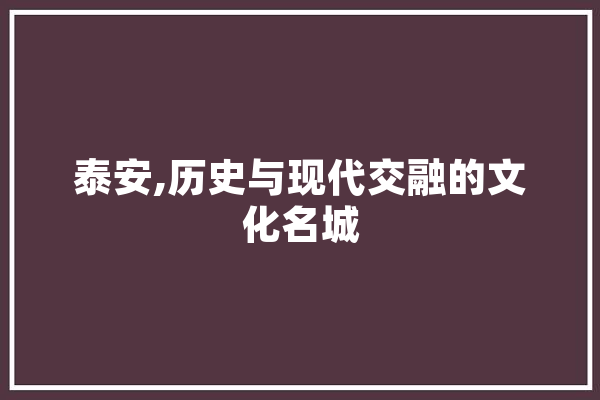 泰安,历史与现代交融的文化名城 云服务