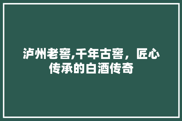 泸州老窖,千年古窖，匠心传承的白酒传奇
