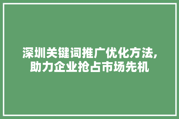 深圳关键词推广优化方法,助力企业抢占市场先机