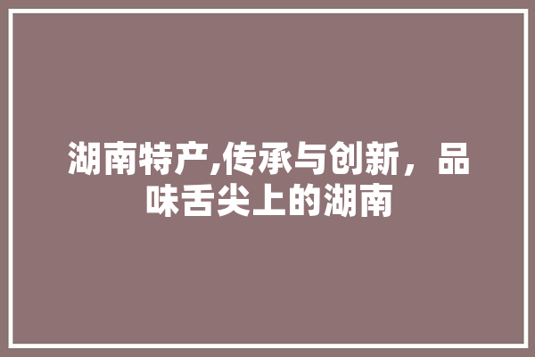 湖南特产,传承与创新，品味舌尖上的湖南 绘影字幕