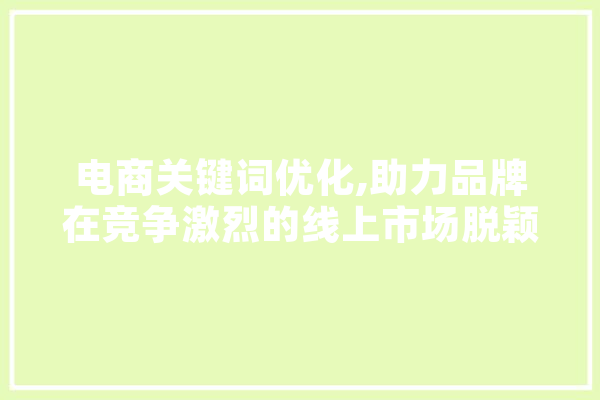 电商关键词优化,助力品牌在竞争激烈的线上市场脱颖而出