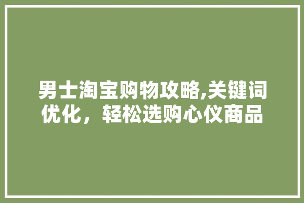 男士淘宝购物攻略,关键词优化，轻松选购心仪商品