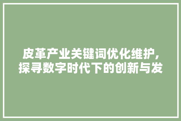 皮革产业关键词优化维护,探寻数字时代下的创新与发展 文字写作