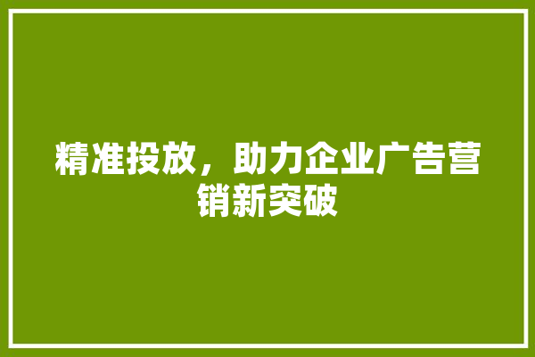 精准投放，助力企业广告营销新突破