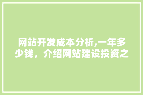 网站开发成本分析,一年多少钱，介绍网站建设投资之谜