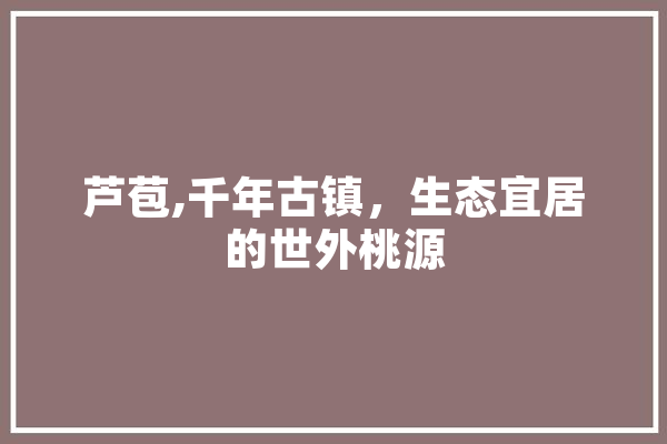 芦苞,千年古镇，生态宜居的世外桃源