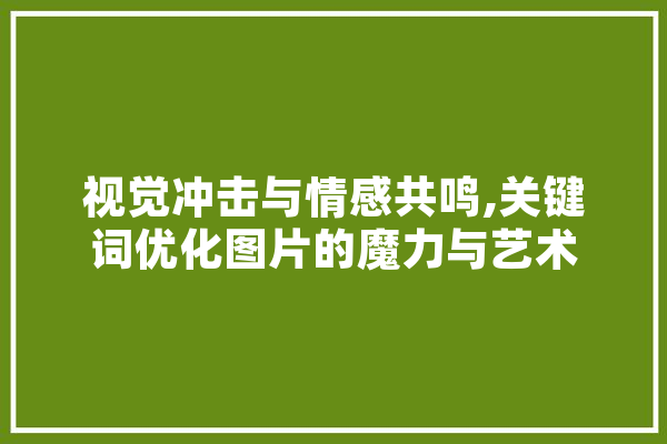 视觉冲击与情感共鸣,关键词优化图片的魔力与艺术