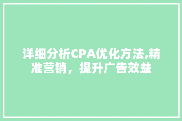 详细分析CPA优化方法,精准营销，提升广告效益 绘影字幕