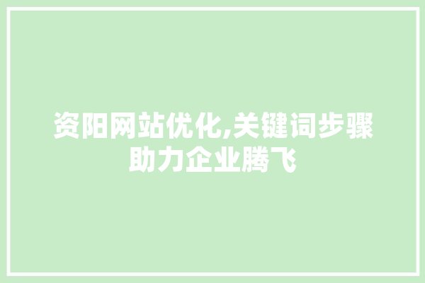 资阳网站优化,关键词步骤助力企业腾飞 计算机
