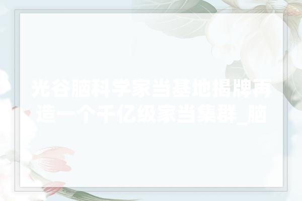 光谷脑科学家当基地揭牌再造一个千亿级家当集群_脑科学_家当