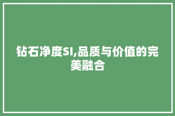 钻石净度SI,品质与价值的完美融合