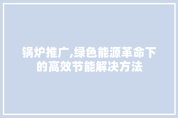 锅炉推广,绿色能源革命下的高效节能解决方法