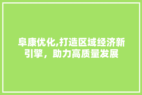 阜康优化,打造区域经济新引擎，助力高质量发展