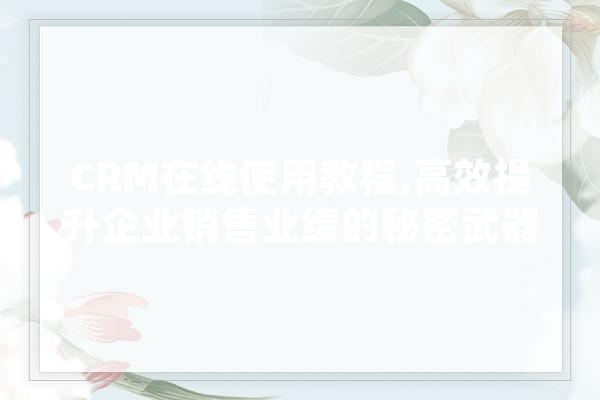 CRM在线使用教程,高效提升企业销售业绩的秘密武器
