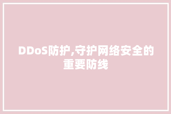 DDoS防护,守护网络安全的重要防线