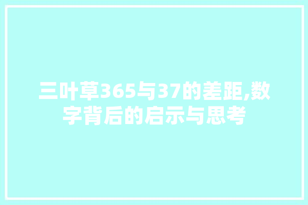 三叶草365与37的差距,数字背后的启示与思考