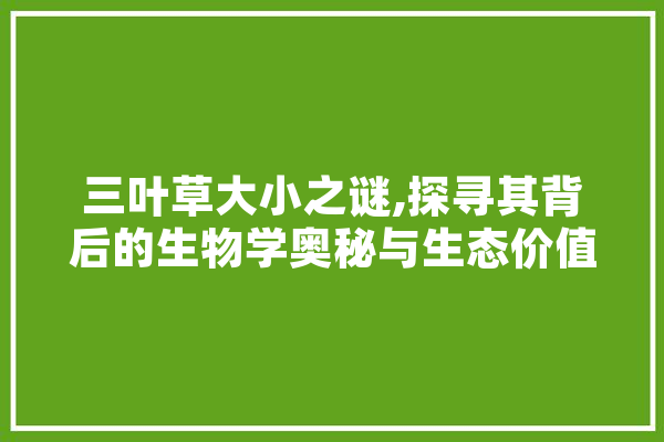 三叶草大小之谜,探寻其背后的生物学奥秘与生态价值