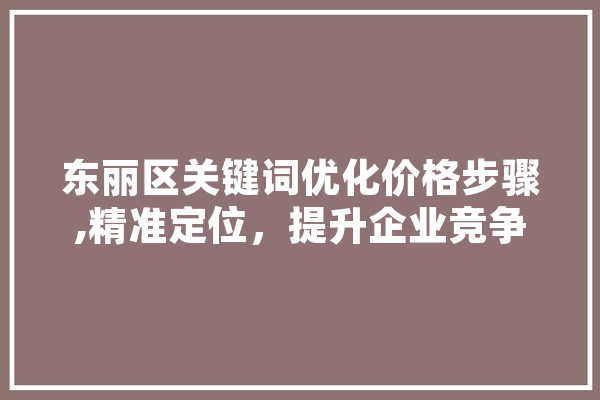 东丽区关键词优化价格步骤,精准定位，提升企业竞争力 文字写作