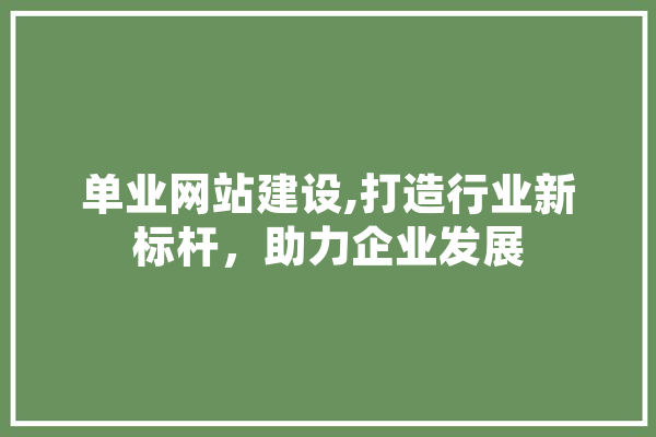 单业网站建设,打造行业新标杆，助力企业发展