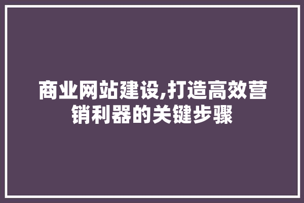 商业网站建设,打造高效营销利器的关键步骤