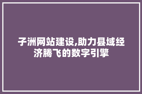 子洲网站建设,助力县域经济腾飞的数字引擎