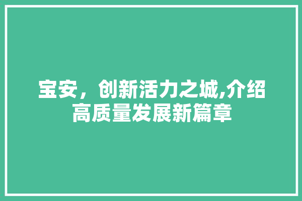 宝安，创新活力之城,介绍高质量发展新篇章
