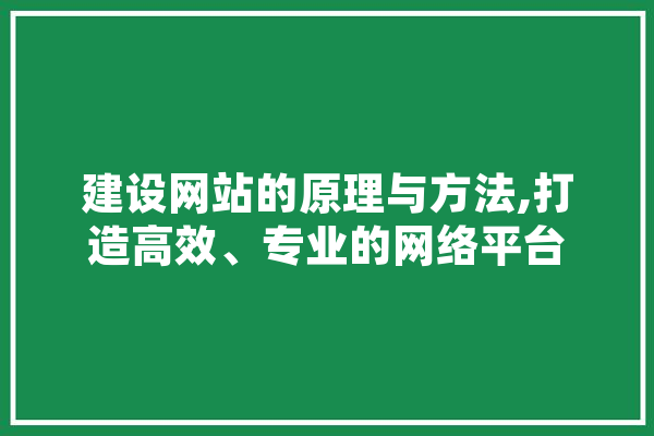 建设网站的原理与方法,打造高效、专业的网络平台