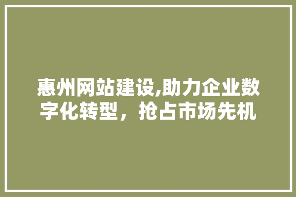 惠州网站建设,助力企业数字化转型，抢占市场先机