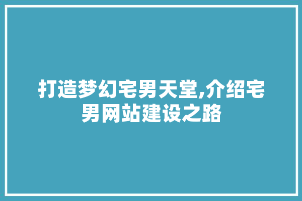 打造梦幻宅男天堂,介绍宅男网站建设之路