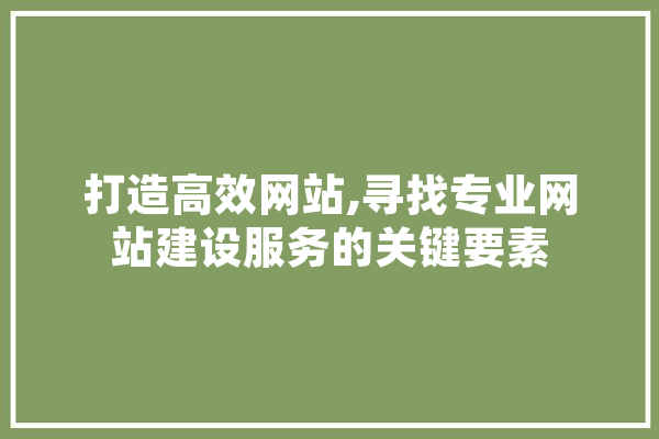 打造高效网站,寻找专业网站建设服务的关键要素