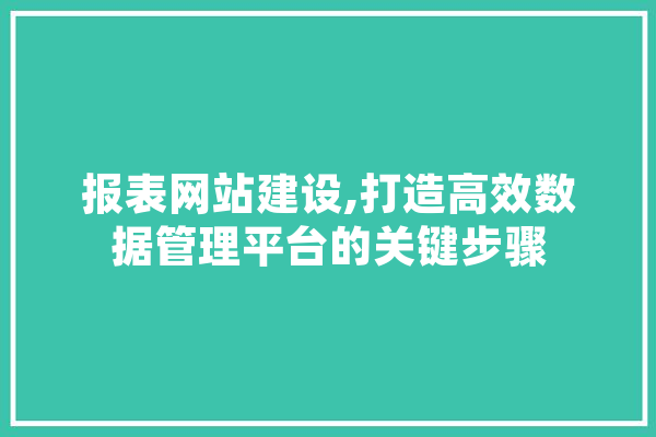报表网站建设,打造高效数据管理平台的关键步骤