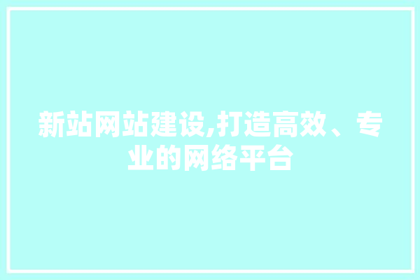 新站网站建设,打造高效、专业的网络平台