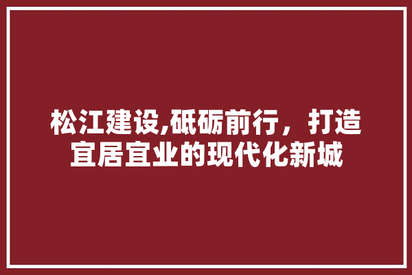 松江建设,砥砺前行，打造宜居宜业的现代化新城