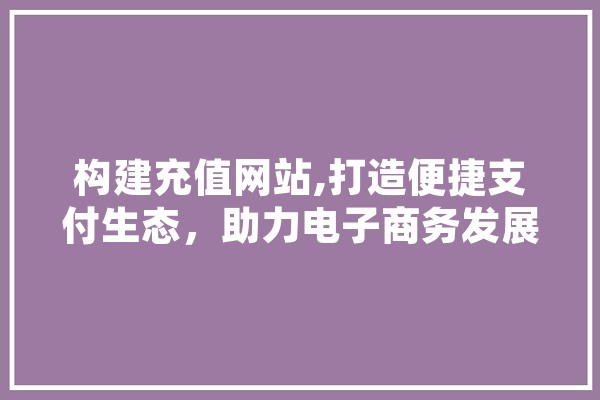 构建充值网站,打造便捷支付生态，助力电子商务发展